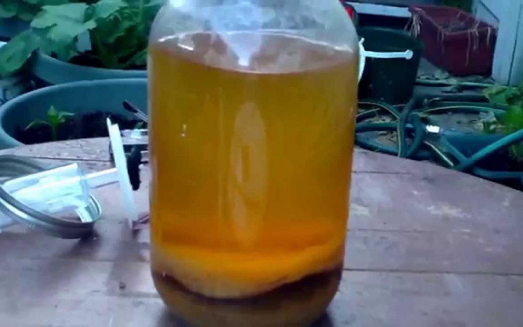 Make Your Own Apple Cider Vinegar
