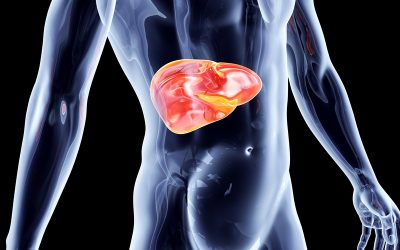 7 Simple Ways to Protect Your Liver