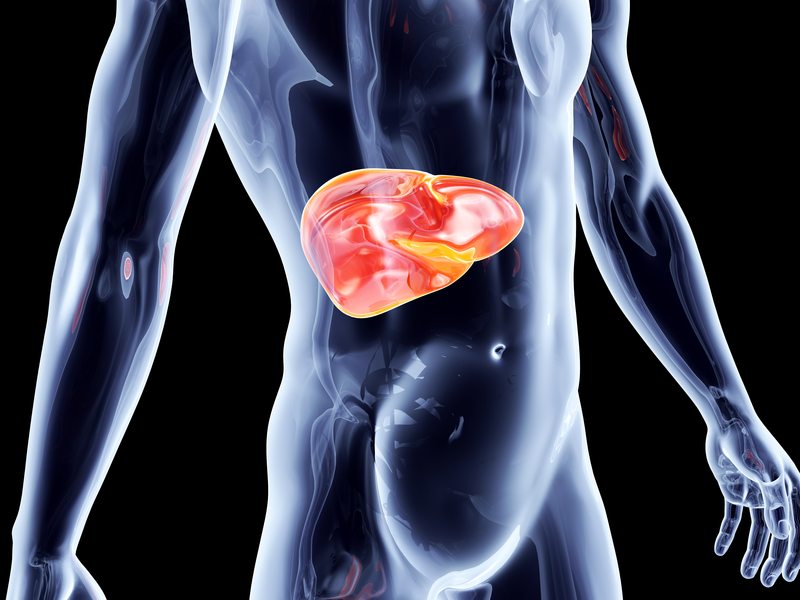 7 Simple Ways to Protect Your Liver