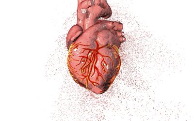 What is Heart Disease and is it Preventable?
