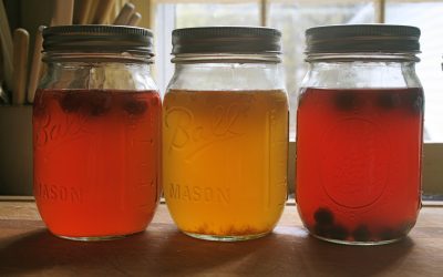 How to Make Your Own Kombucha