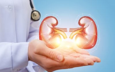 Kidney Disease and Diet: What You Need to Know
